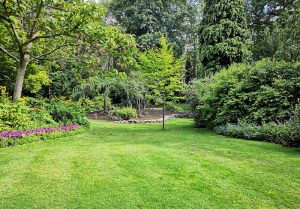 Optimiser l'expérience du jardin à Rouilly